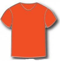 Orange T-Shirt 1.0"