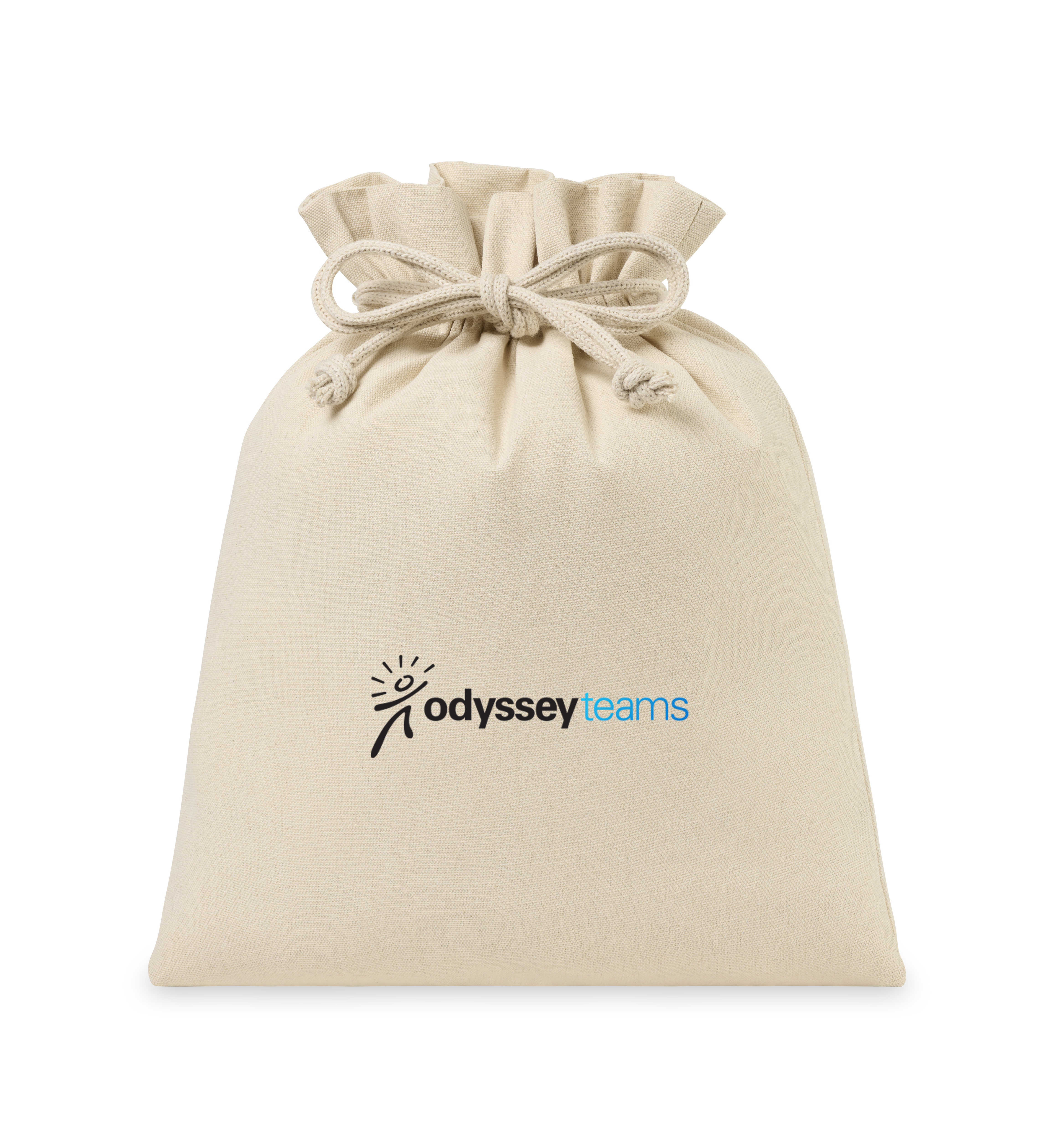 Eco-conscious Canvas Drawstring Gift Bag - Large