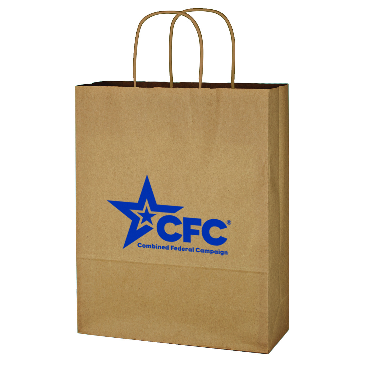 Kraft Paper Brown Shopping Bag - 10