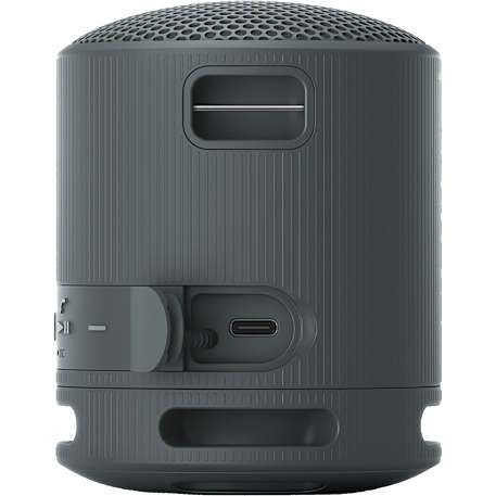 Sony SRS-XB100 Bluetooth Speaker